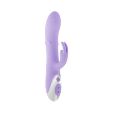 Evolved Spinderella Purple