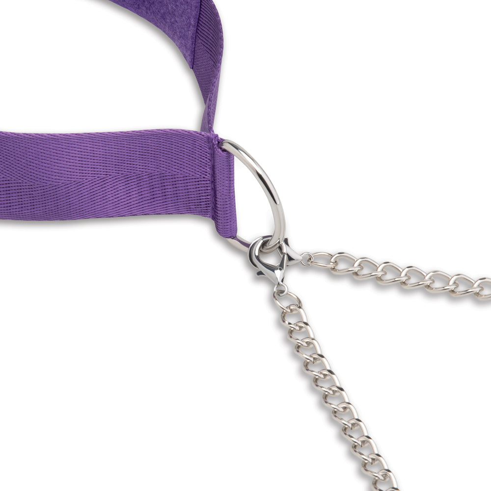 Lux Fetish Collar & Nipple Clamps