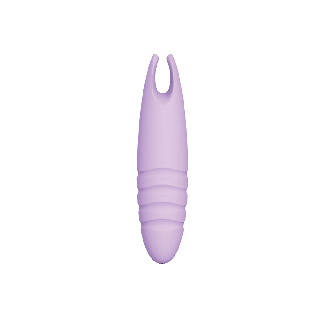 Sorbet Purple Passion Lavender