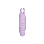 Sorbet Purple Passion Lavender