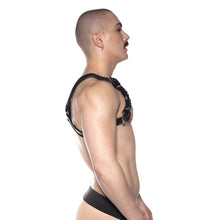 Prowler RED Bull Harness Black L