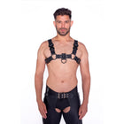 Prowler RED Bull Harness Black with Metal Fittings M