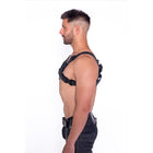 Prowler RED Bull Harness Black with Metal Fittings M
