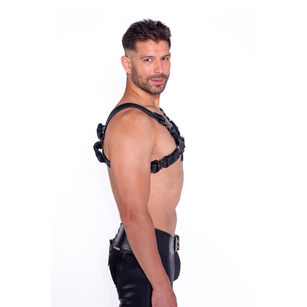 Prowler RED Bull Harness Black with Metal Fittings M