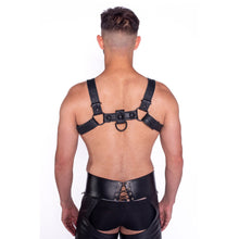 Prowler RED Bull Harness Black with Metal Fittings S