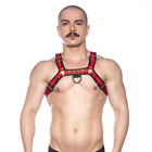 Prowler RED Bull Harness Black/Red S
