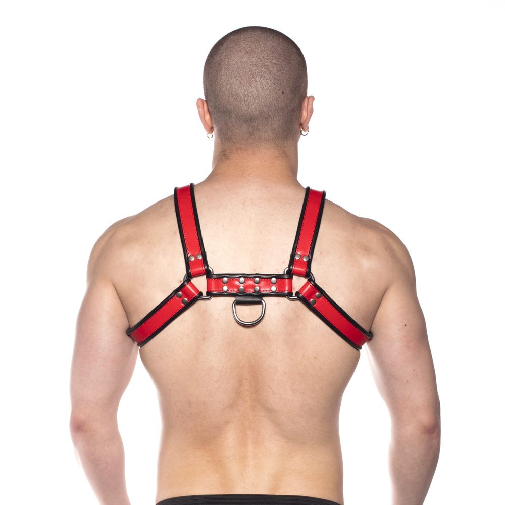 Prowler RED Bull Harness Black/Red S