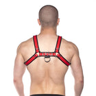Prowler RED Bull Harness Black/Red S