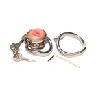 Master Series Pussy Boy Metal Chastity Cage