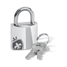 Mystim Pubic Enemy No 2 Electrosex Cock Cage