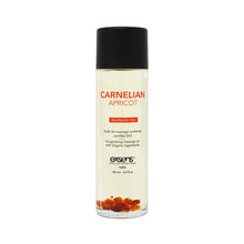 Exsens Massage Oil Carnelian Apricot 3.4 oz.