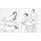 Sex Position Coloring Book: Playtime for Couples