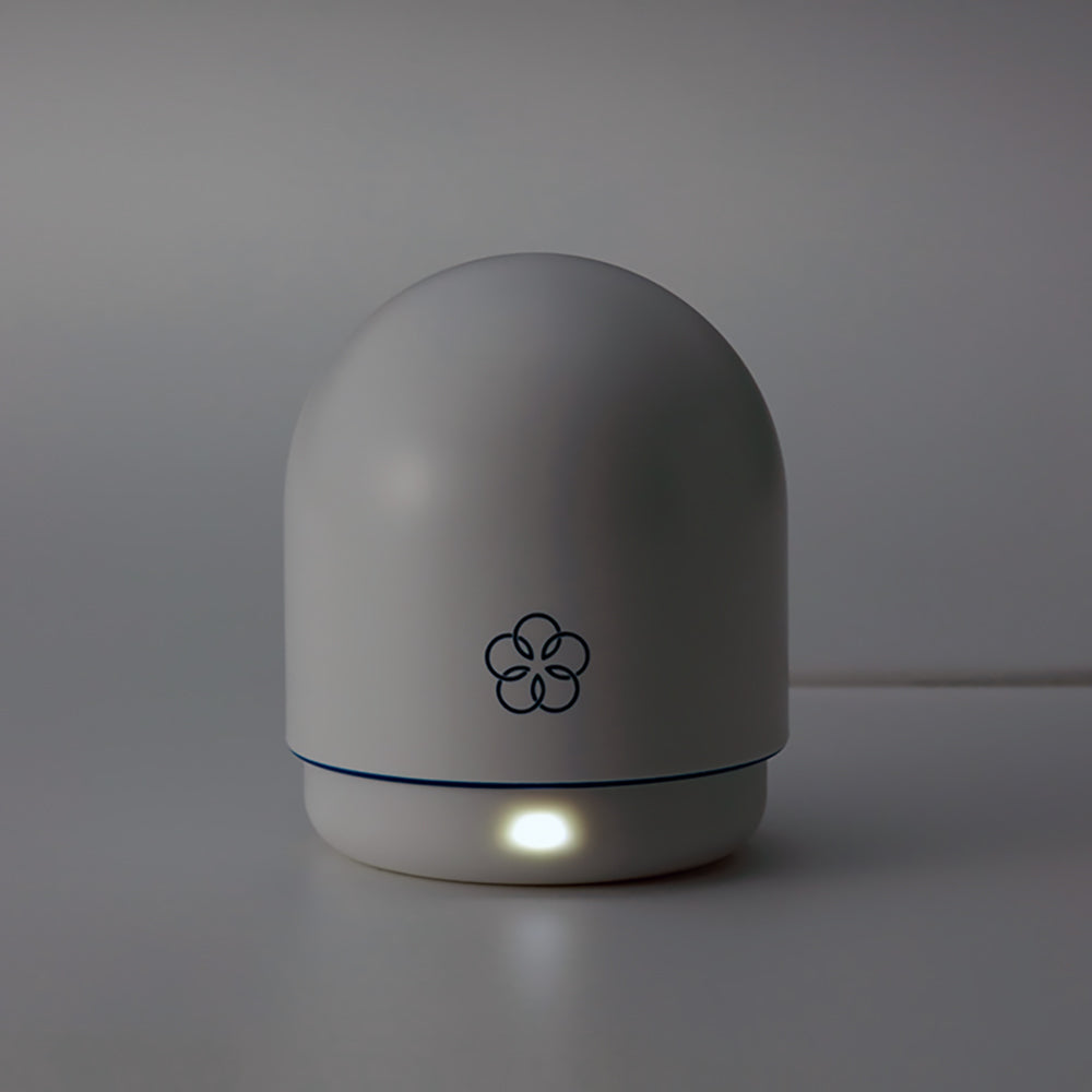 iroha Temari MIZU Vibrator