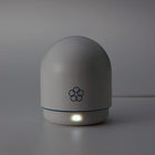 iroha Temari MIZU Vibrator