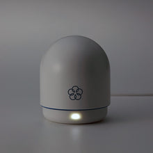 iroha Temari MIZU Vibrator